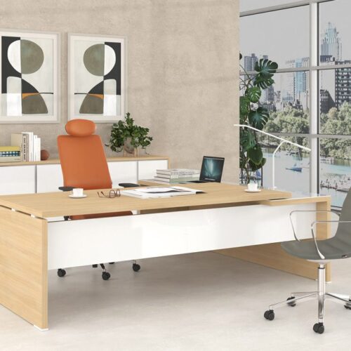 LYSIS PLUS διευθυντικό γραφείο  ΔΙΕΥΘΥΝΤΙΚΑ ΓΡΑΦΕΙΑ